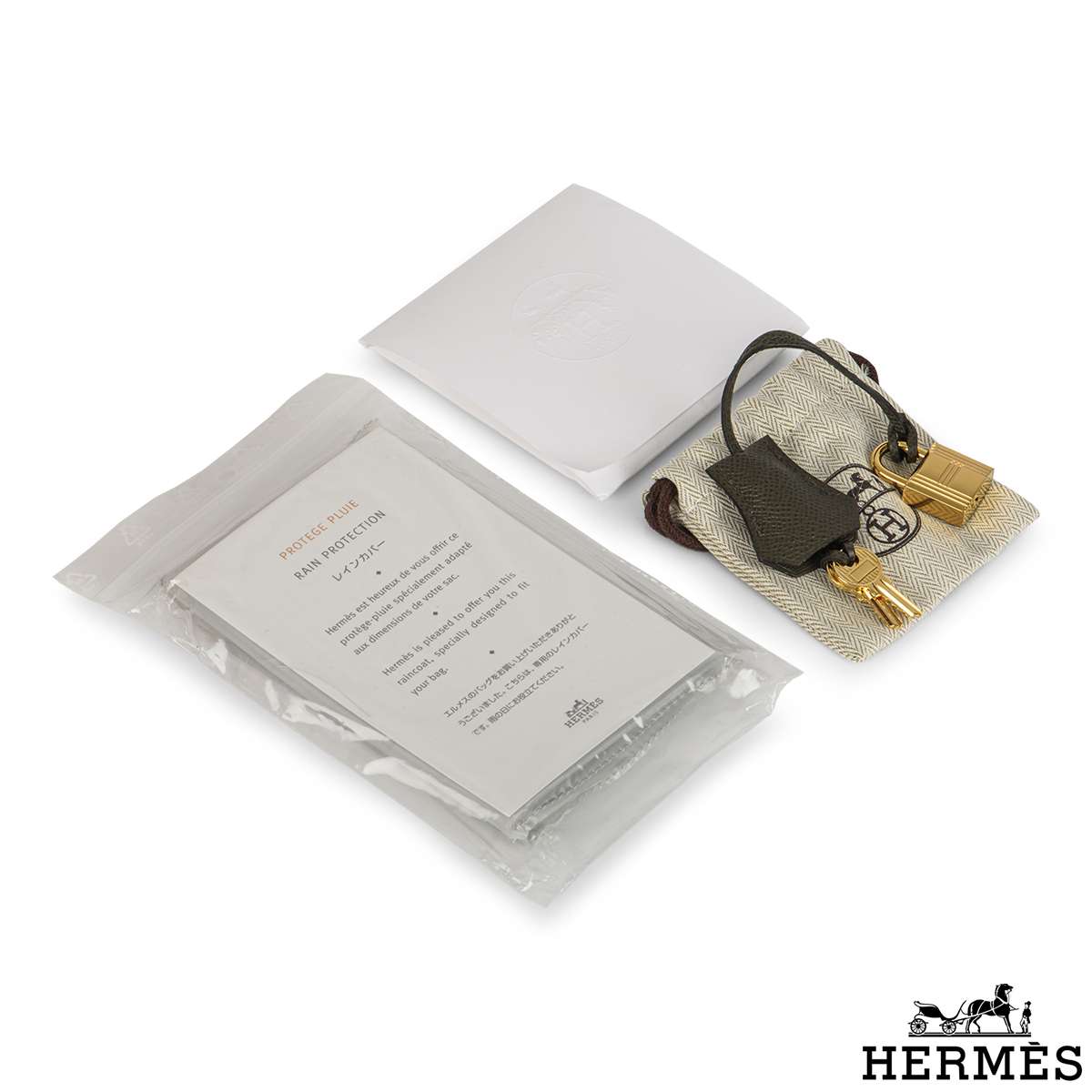 Hermès Birkin 25 Vert de Gris Sellier Epsom Gold Hardware GHW
